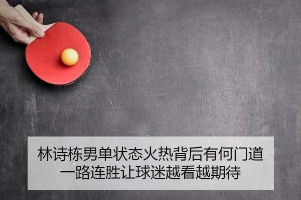 林诗栋男单状态火热背后有何门道 一路连胜让球迷越看越期待